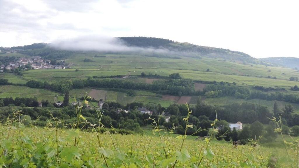 Maison Renovee Sur Domaine Viticole Renovated Old House On Wine Estate Chassey-le-Camp
