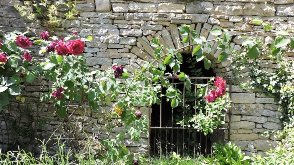 Maison Renovee Sur Domaine Viticole Renovated Old House On Wine Estate *